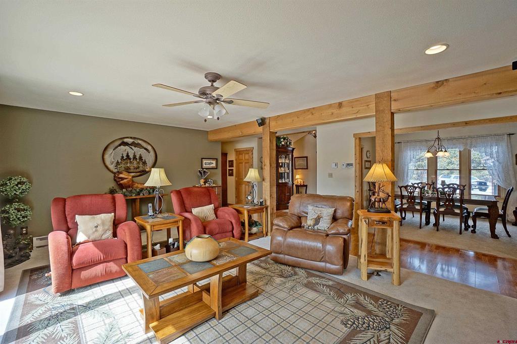 221 Waterview Lane Ridgway CO 81432