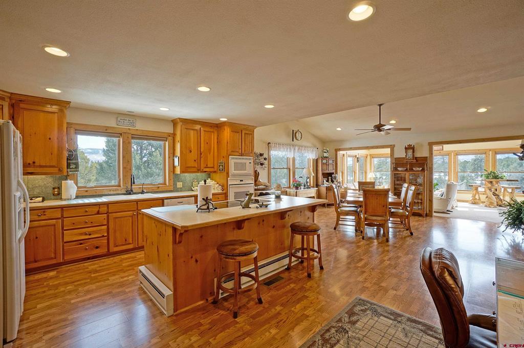 221 Waterview Lane Ridgway CO 81432