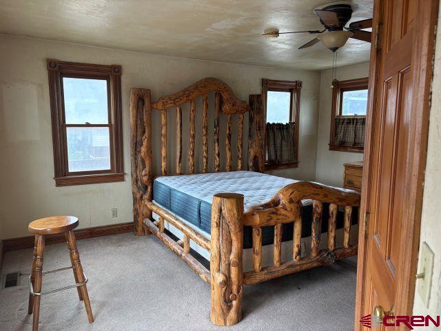 411 N Lena Street Ridgway CO 81432