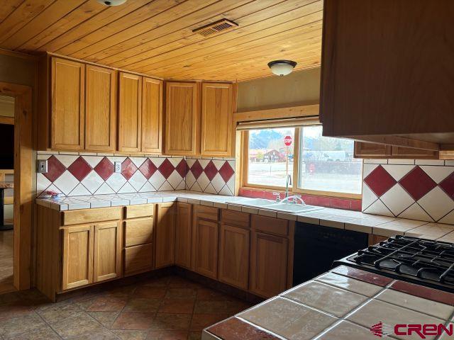 411 N Lena Street Ridgway CO 81432