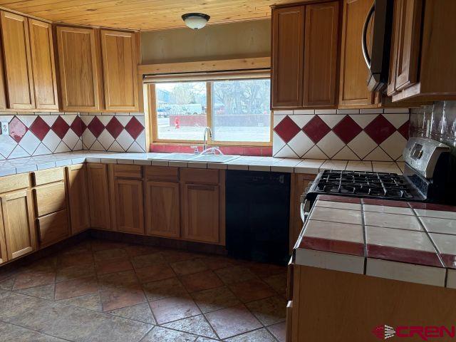 411 N Lena Street Ridgway CO 81432