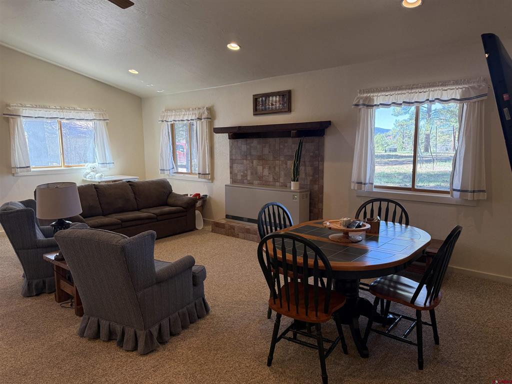 41 N Debonaire Court Pagosa Springs CO 81147