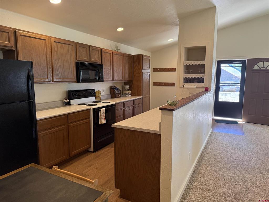 41 N Debonaire Court Pagosa Springs CO 81147