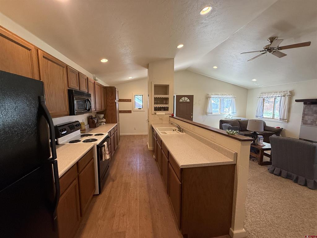 41 N Debonaire Court Pagosa Springs CO 81147