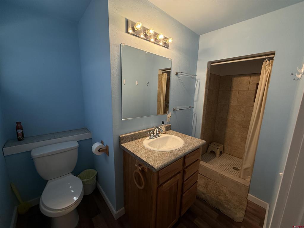 41 N Debonaire Court Pagosa Springs CO 81147