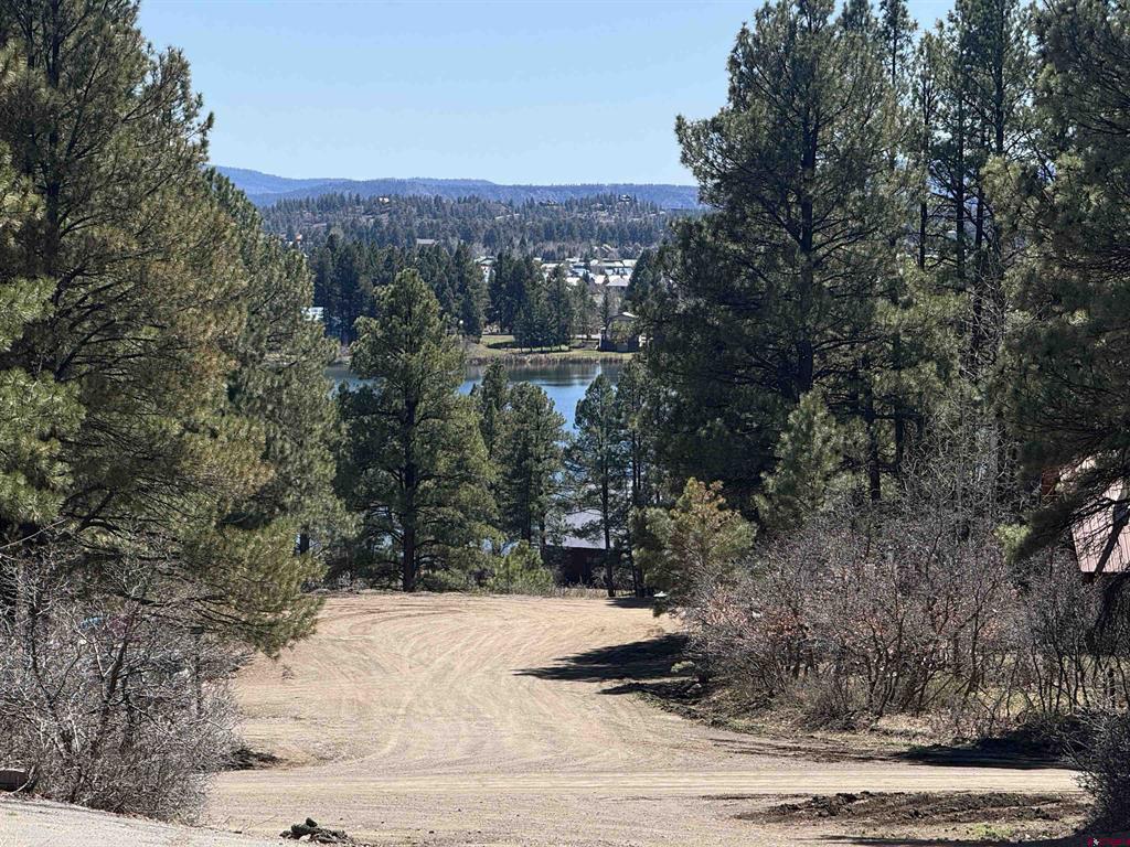 41 N Debonaire Court Pagosa Springs CO 81147