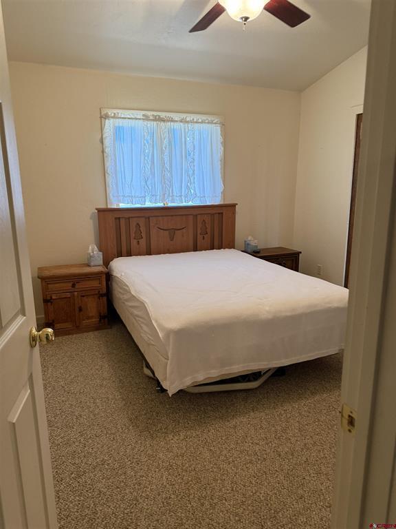 41 N Debonaire Court Pagosa Springs CO 81147