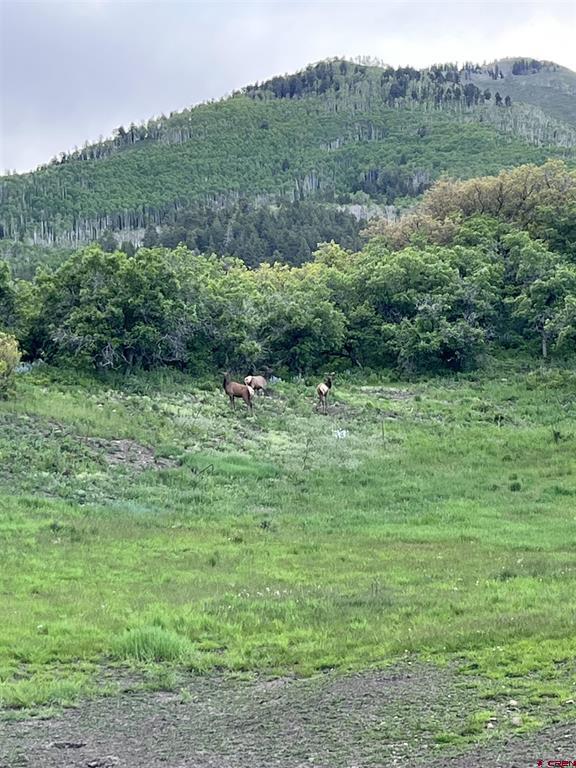 3456 County Road 124 Hesperus CO 81326