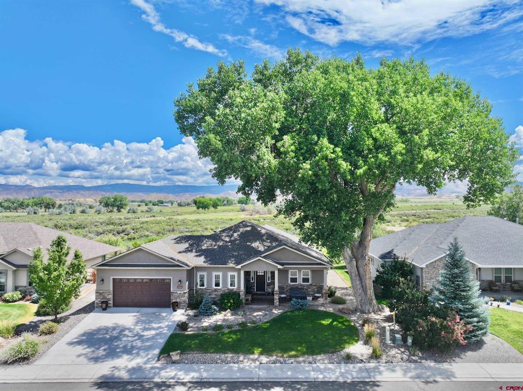 3443 Honey Locust Drive Montrose CO 81401