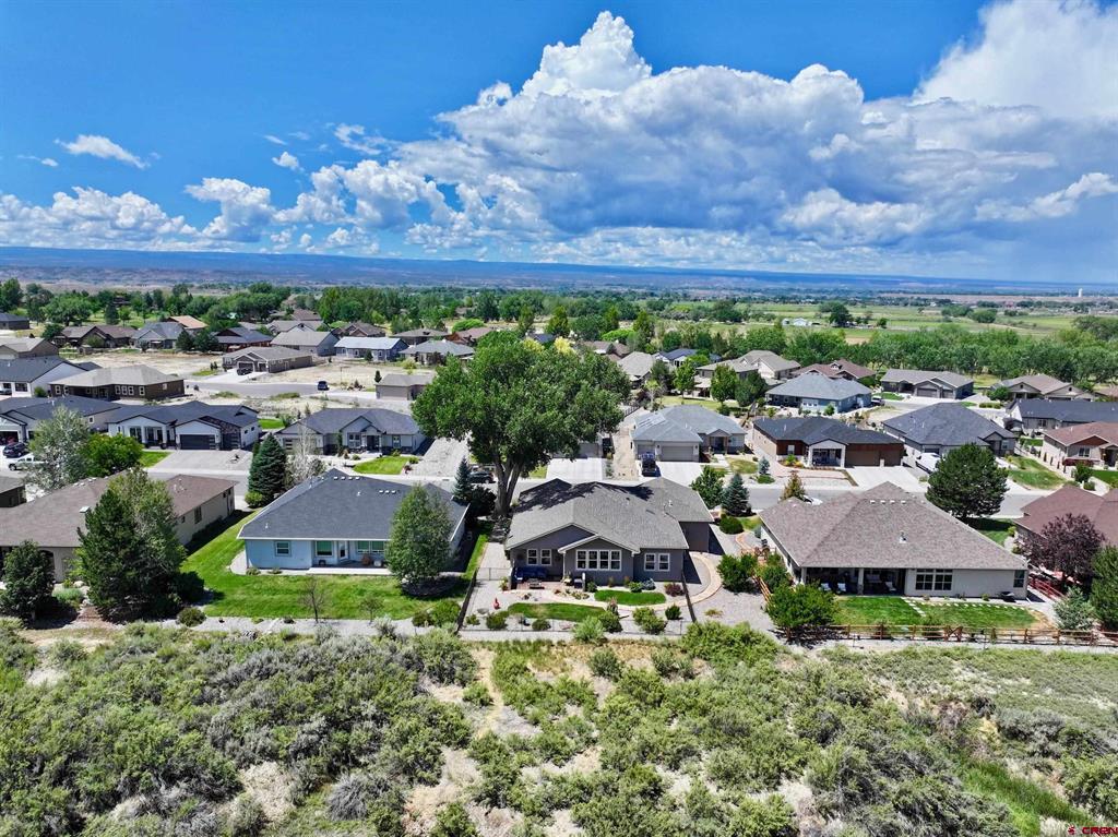 3443 Honey Locust Drive Montrose CO 81401