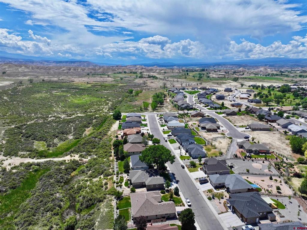 3443 Honey Locust Drive Montrose CO 81401