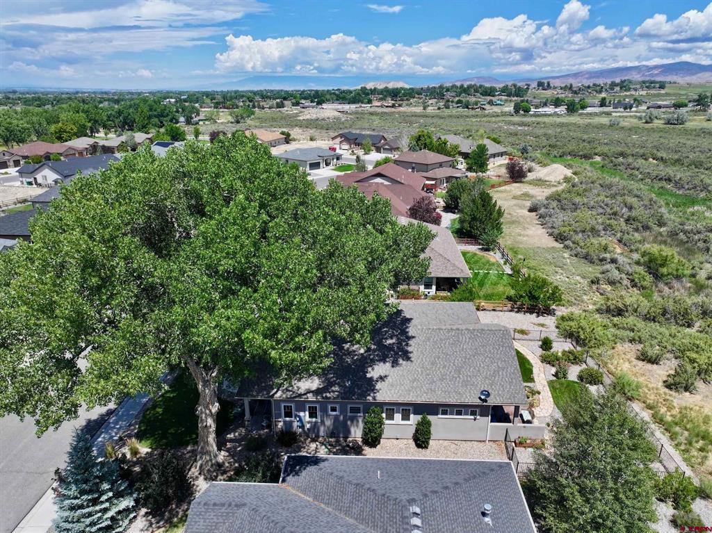3443 Honey Locust Drive Montrose CO 81401