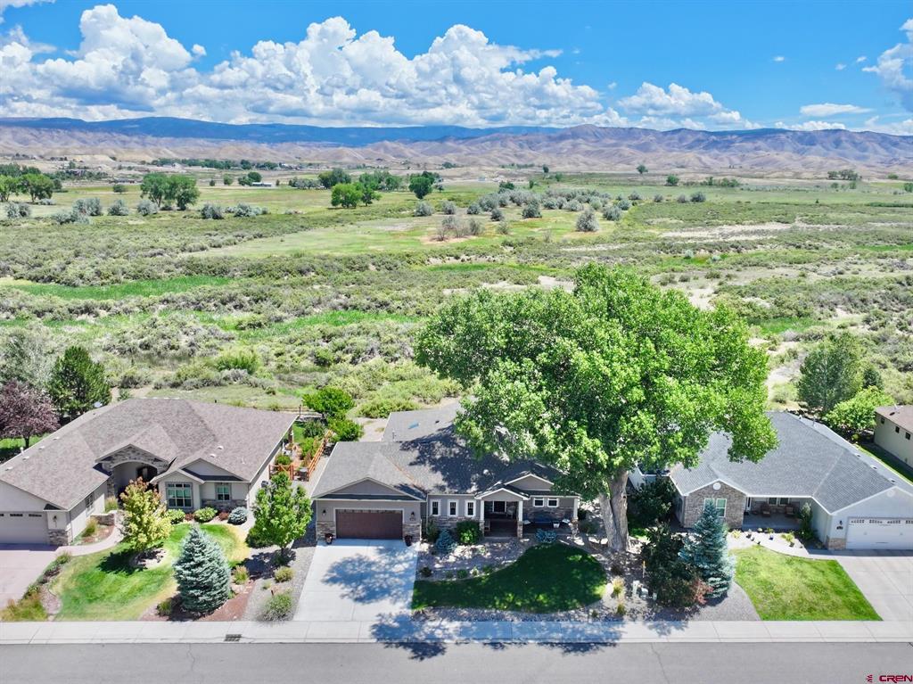 3443 Honey Locust Drive Montrose CO 81401