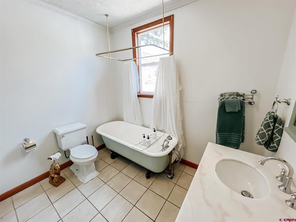 530 Silver Street Lake City CO 81235