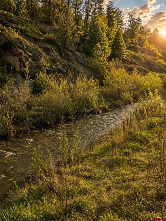 28502 Colorado 151 Pagosa Springs CO 81147