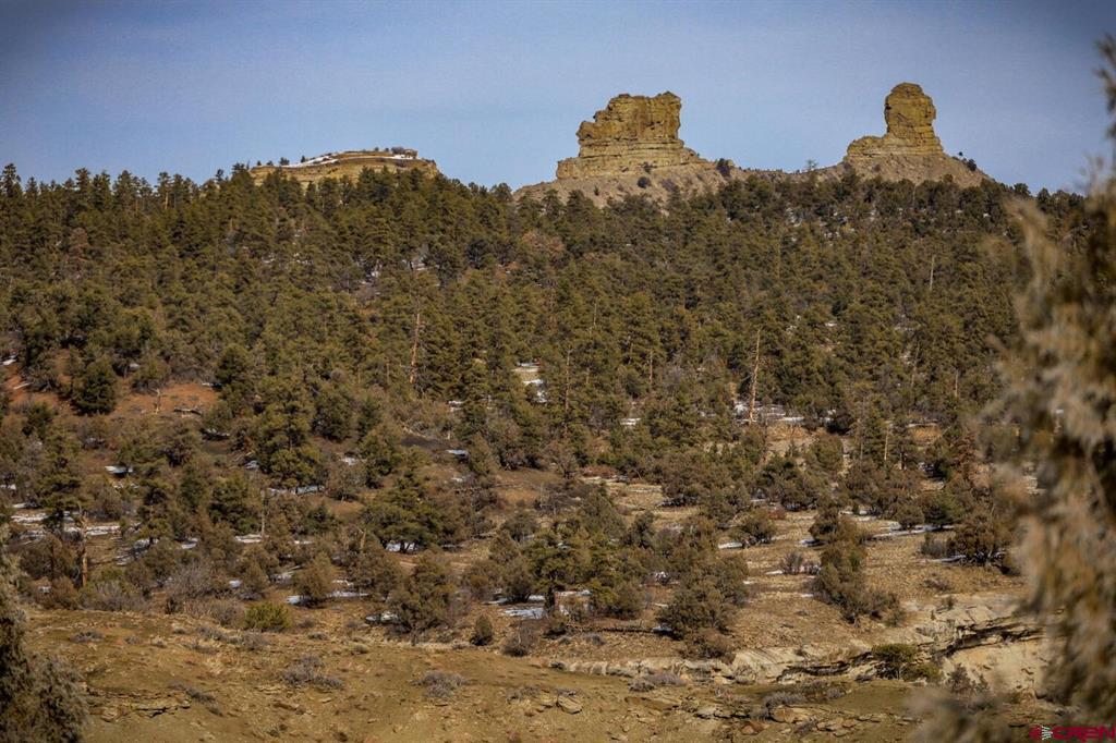 28502 Colorado 151 Pagosa Springs CO 81147