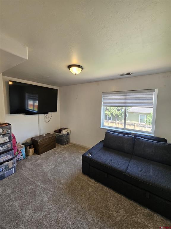 3224 Raven Crest Drive Montrose CO 81401