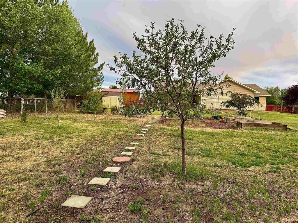 8902 6085 Road Montrose CO 81401