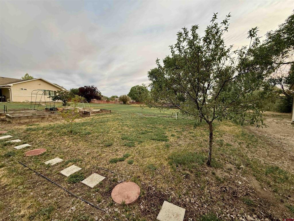 8902 6085 Road Montrose CO 81401