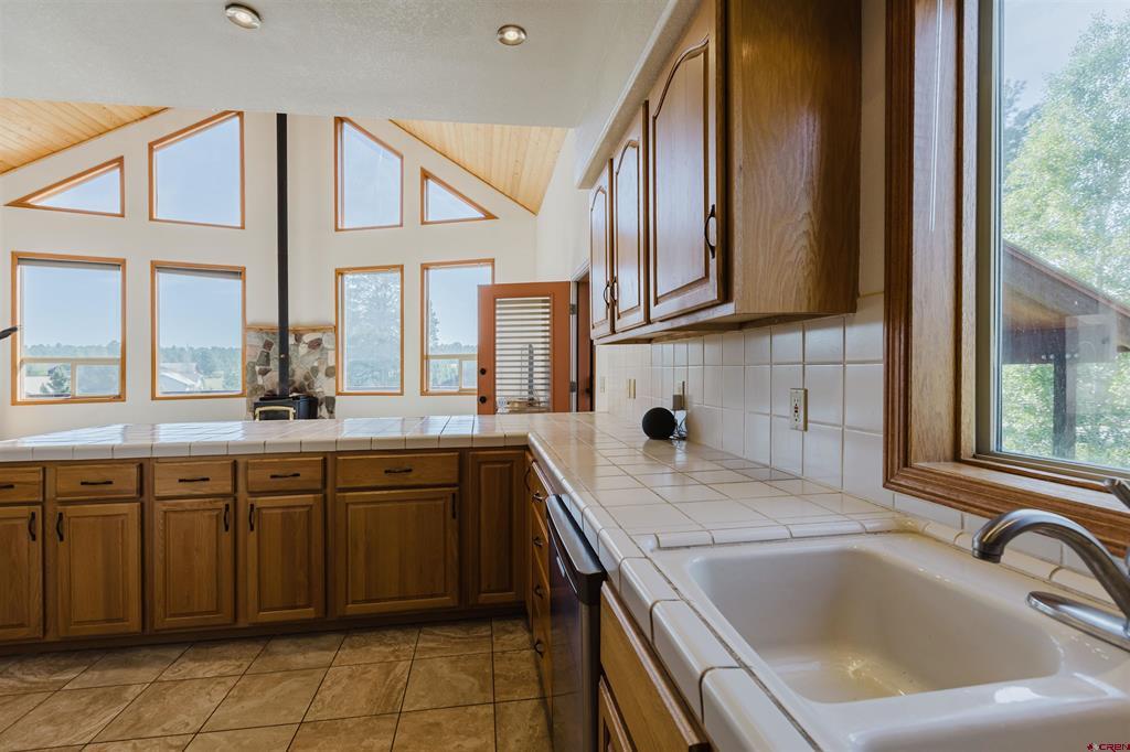 176 Periwinkle Drive Pagosa Springs CO 81147