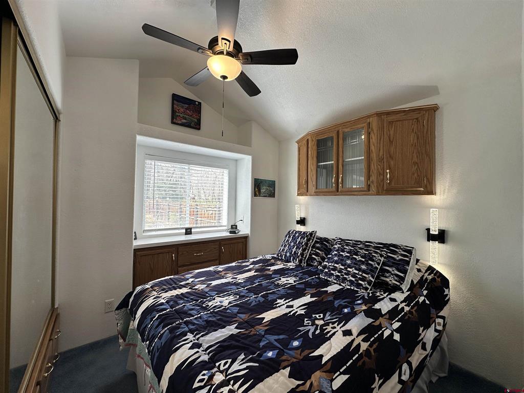 6 Okie Lane South Fork CO 81154
