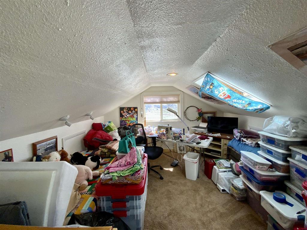 246 Tomichi Lane Gunnison CO 81230