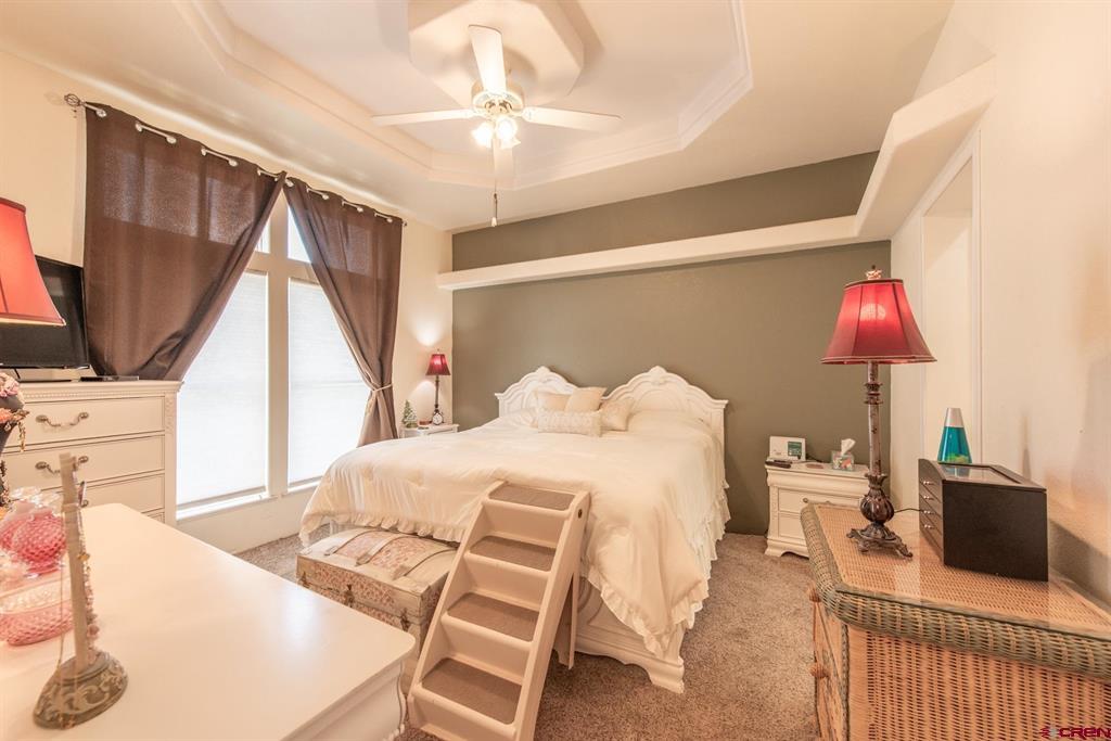 501 Silver Drive Montrose CO 81401