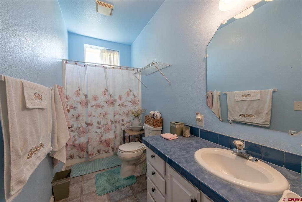 501 Silver Drive Montrose CO 81401