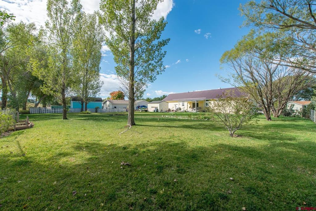 501 Silver Drive Montrose CO 81401