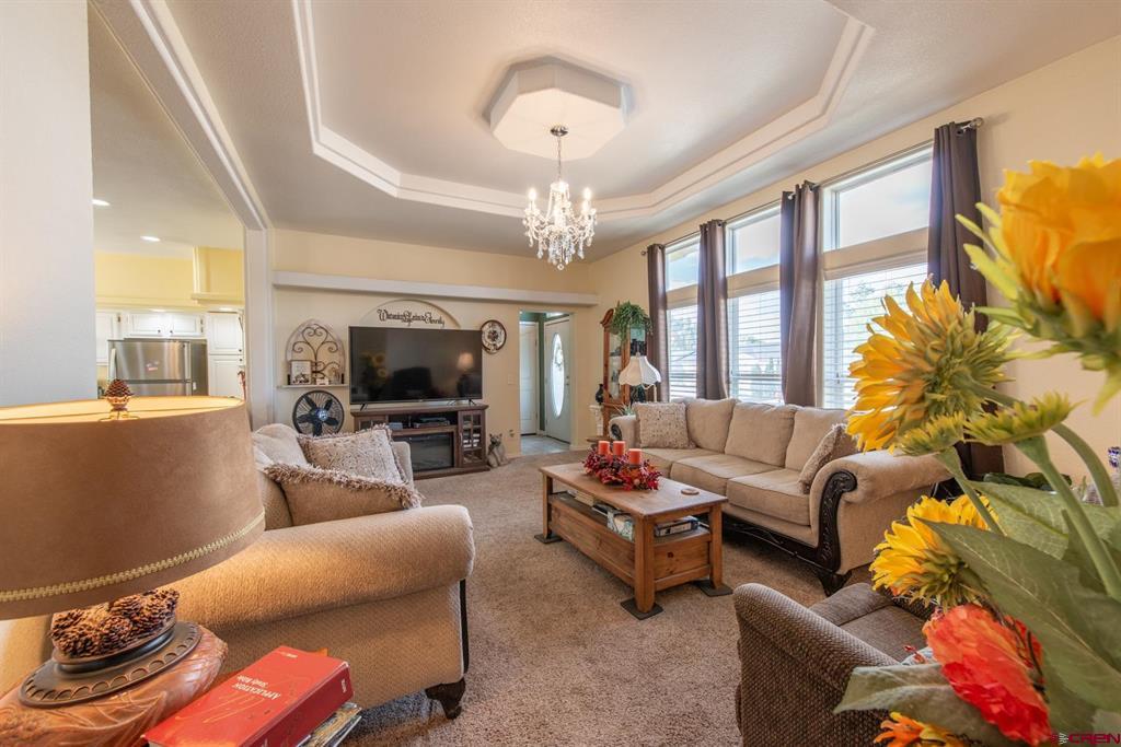 501 Silver Drive Montrose CO 81401