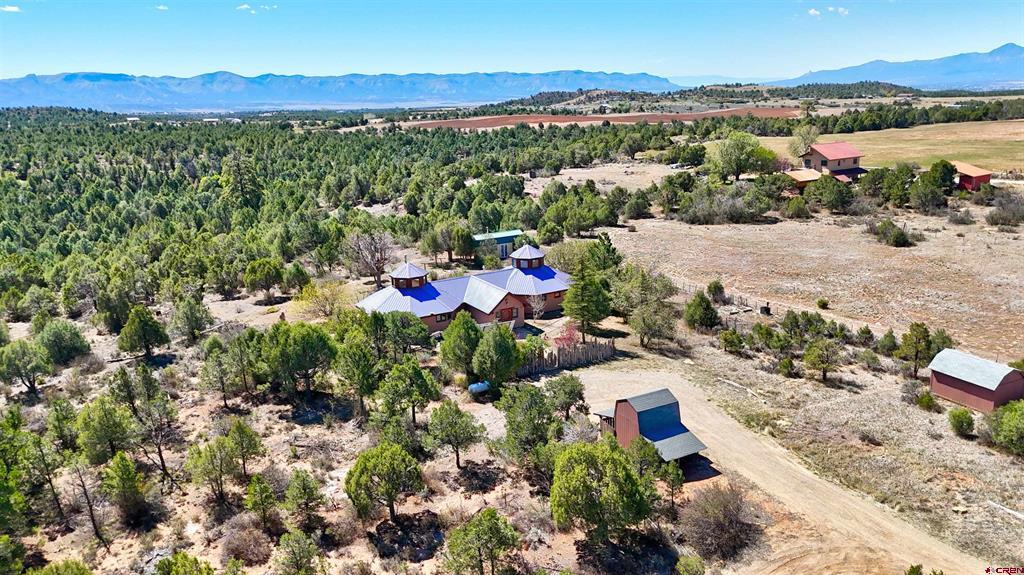 34100 Highway 184 Mancos CO 81328