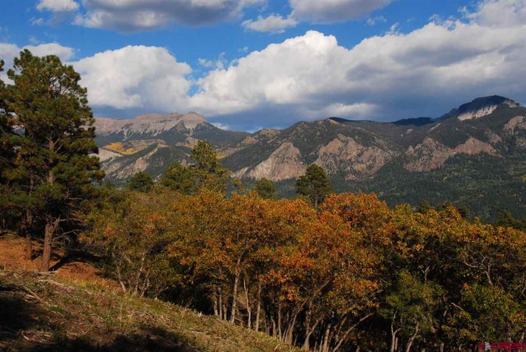 1100 Navajo Peak Place Pagosa Springs CO 81147