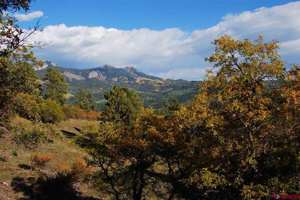 1100 Navajo Peak Place Pagosa Springs CO 81147