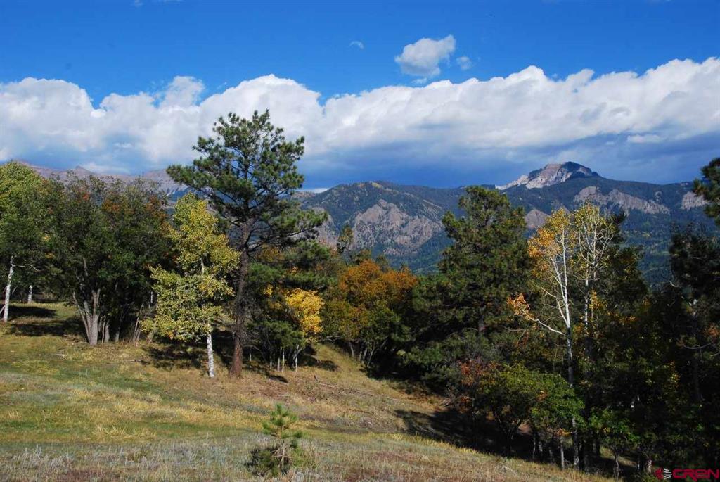 1100 Navajo Peak Place Pagosa Springs CO 81147