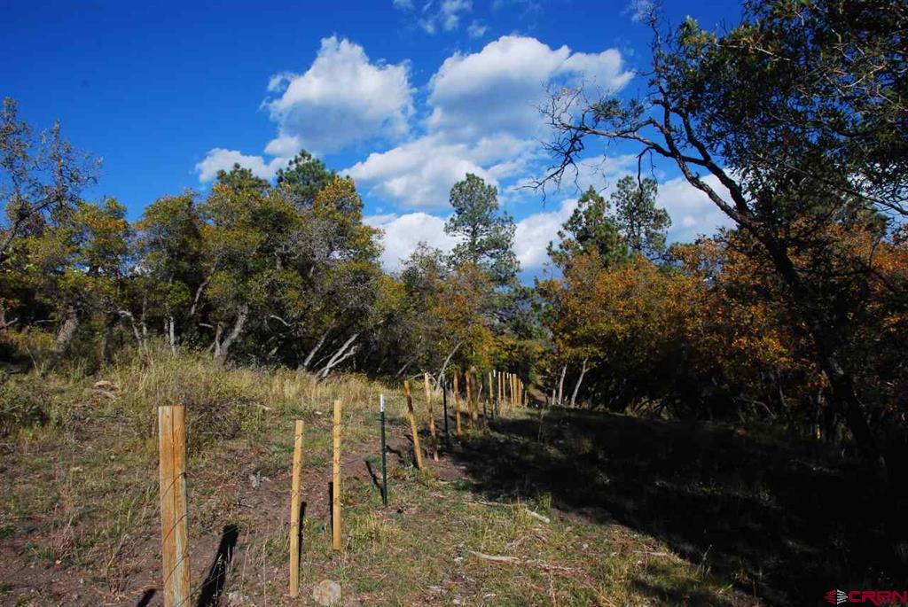 1100 Navajo Peak Place Pagosa Springs CO 81147