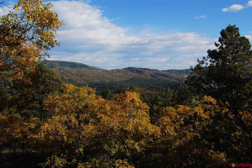 1100 Navajo Peak Place Pagosa Springs CO 81147