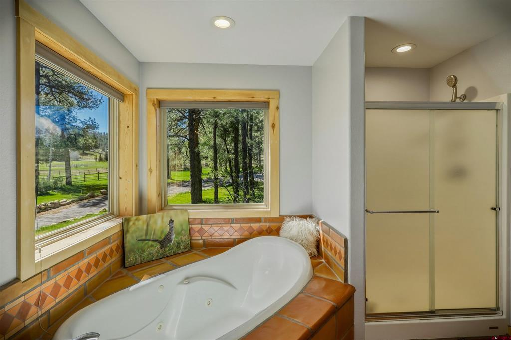 146 Easy Street Pagosa Springs CO 81147
