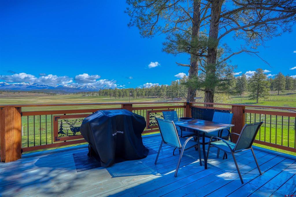 146 Easy Street Pagosa Springs CO 81147
