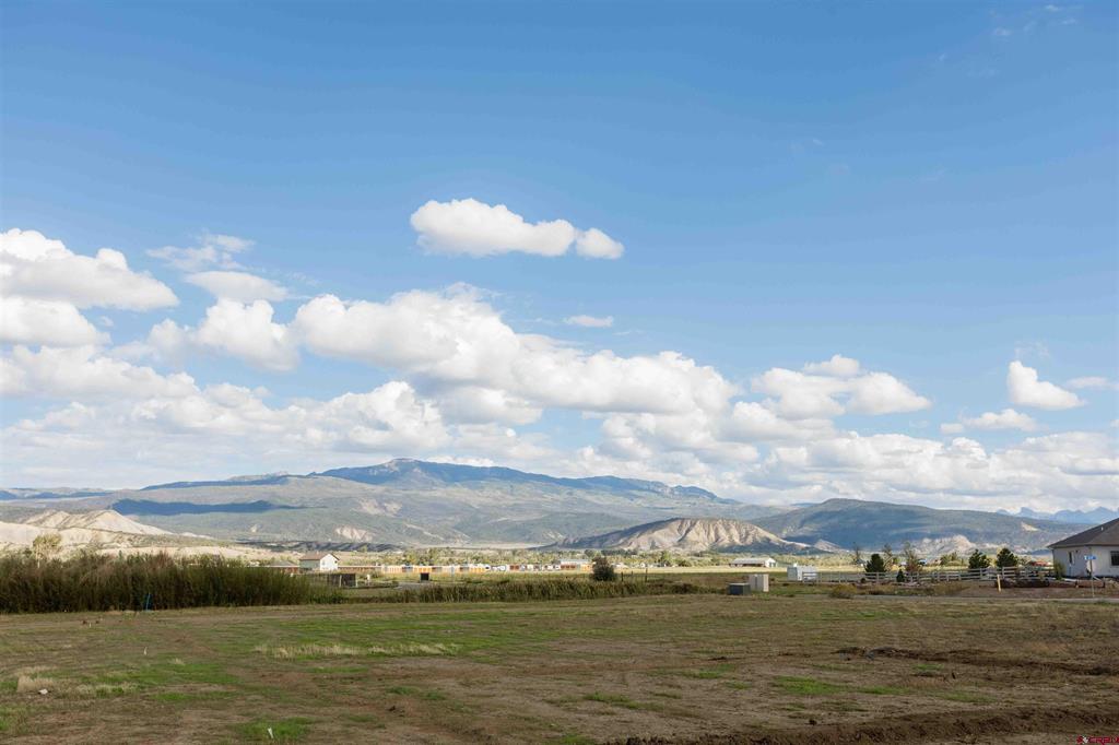 22196 6840 Court Montrose CO 81403