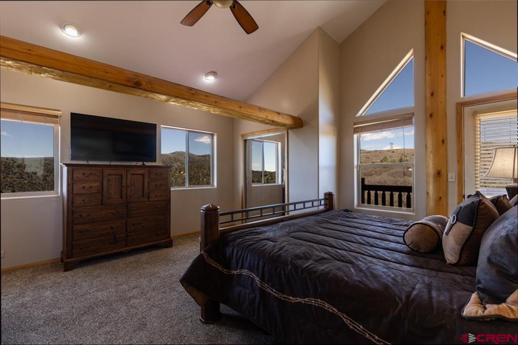 1737 Roberts Ridge Drive Hesperus CO 81326