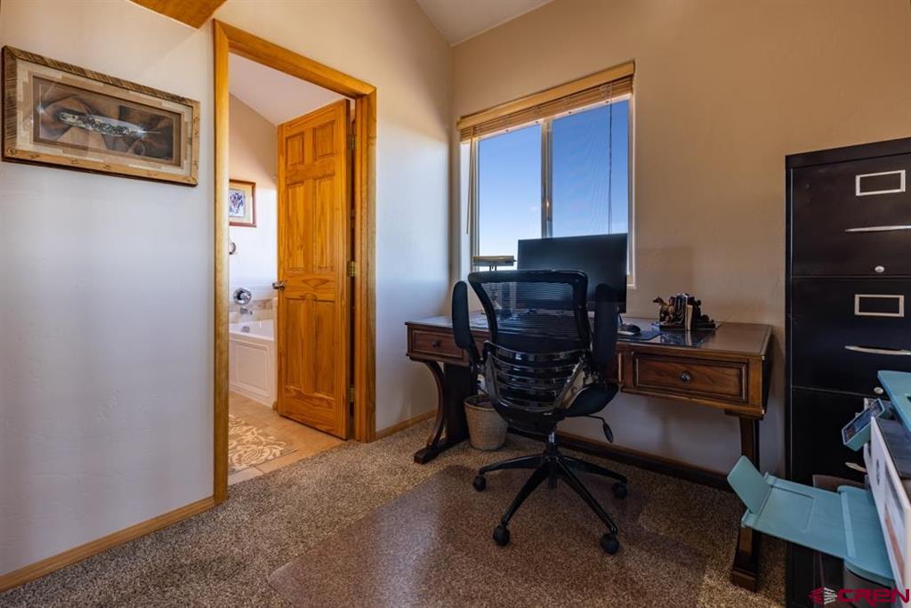 1737 Roberts Ridge Drive Hesperus CO 81326