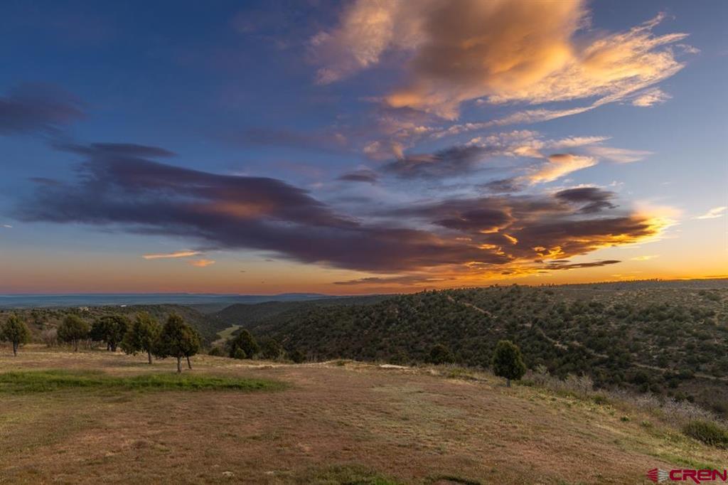 1737 Roberts Ridge Drive Hesperus CO 81326