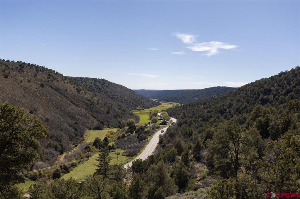 1737 Roberts Ridge Drive Hesperus CO 81326