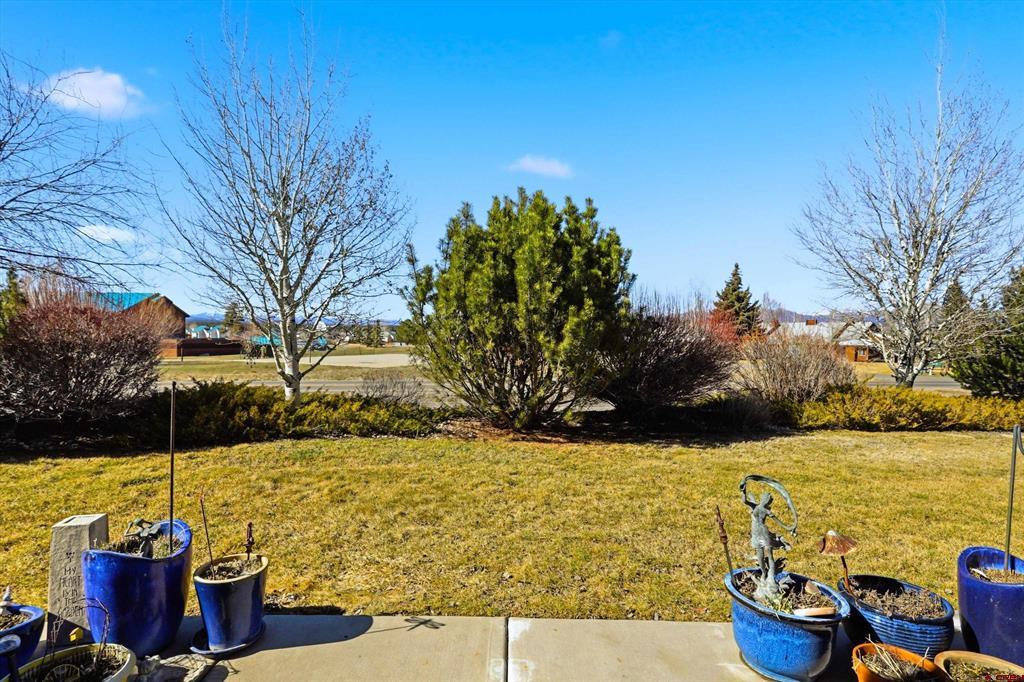 1135 Park Avenue Pagosa Springs CO 81147