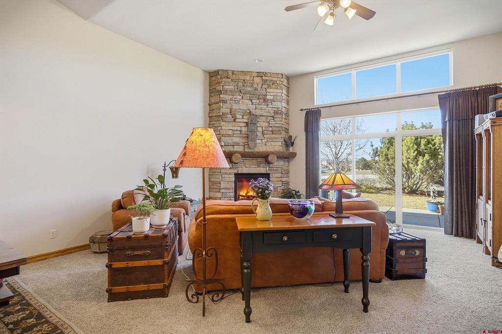 1135 Park Avenue Pagosa Springs CO 81147
