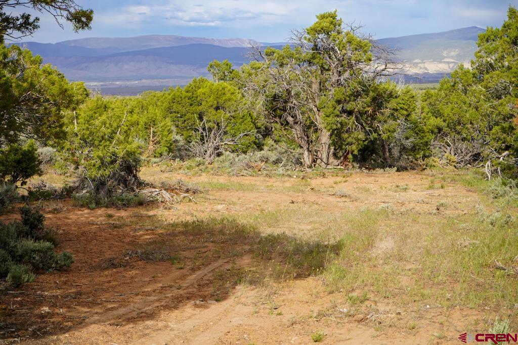 61020 Tres Coyote Trail Montrose CO 81403