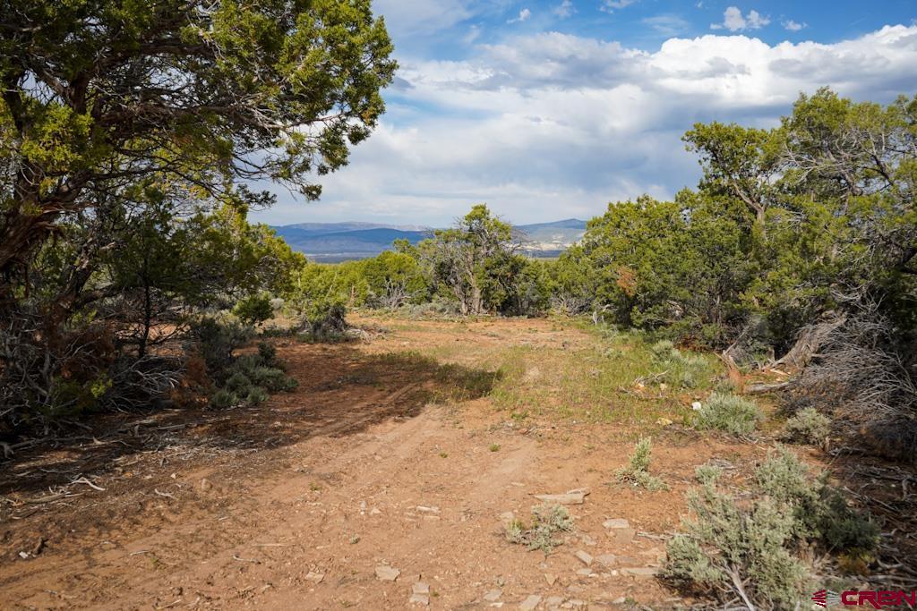61020 Tres Coyote Trail Montrose CO 81403