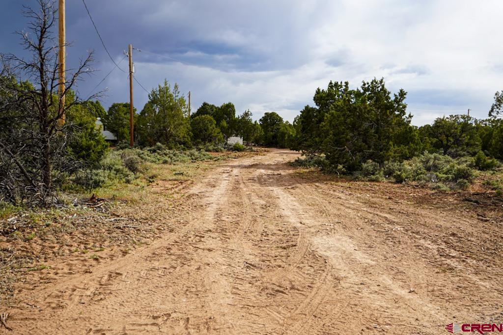 61020 Tres Coyote Trail Montrose CO 81403