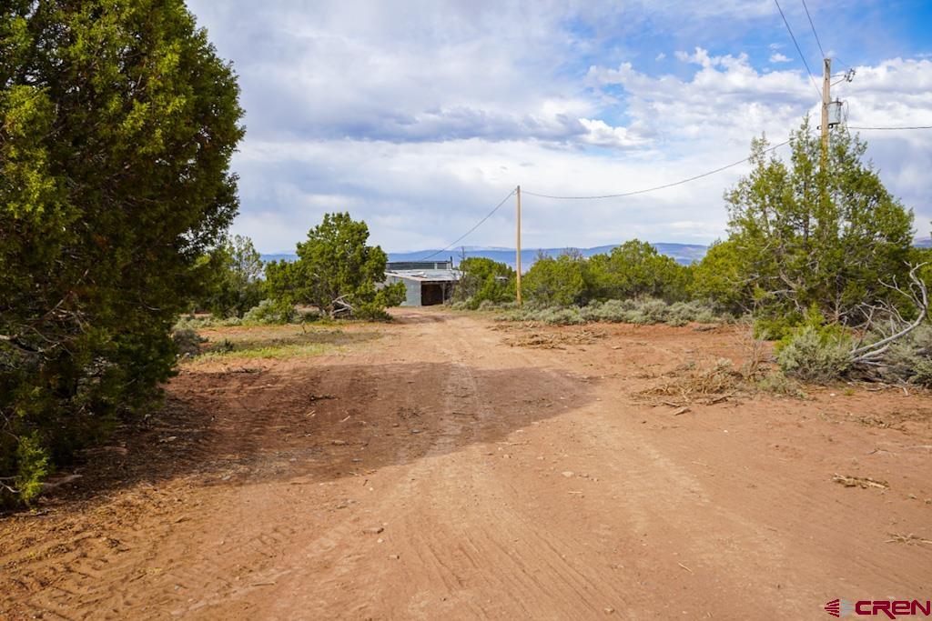 61020 Tres Coyote Trail Montrose CO 81403