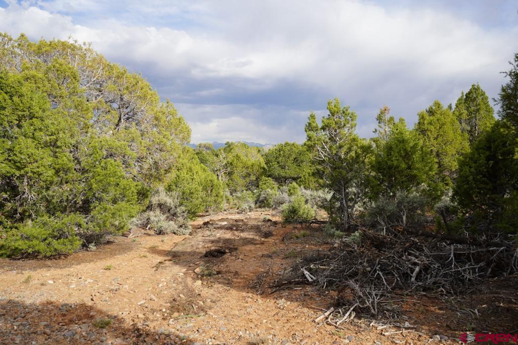61020 Tres Coyote Trail Montrose CO 81403